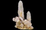 Cactus Quartz (Amethyst) Cluster - South Africa #115124-1